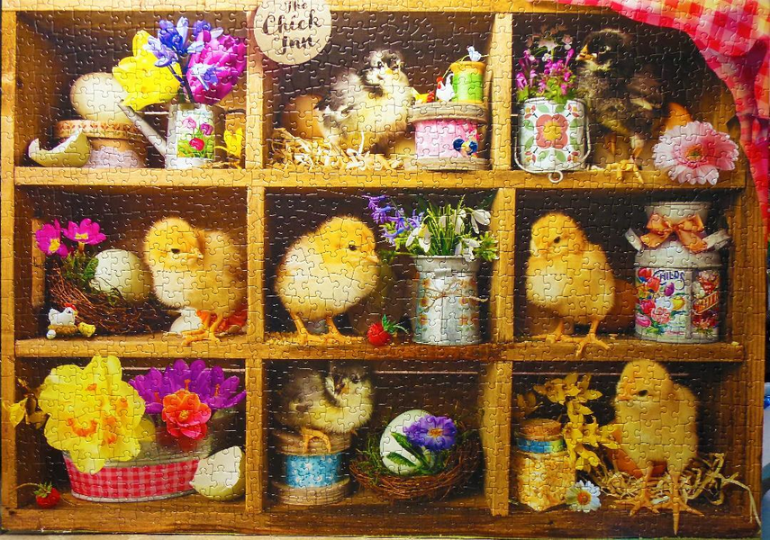From Coop to Cubicles: A Chicken Tender's Puzzle Journey — USA
