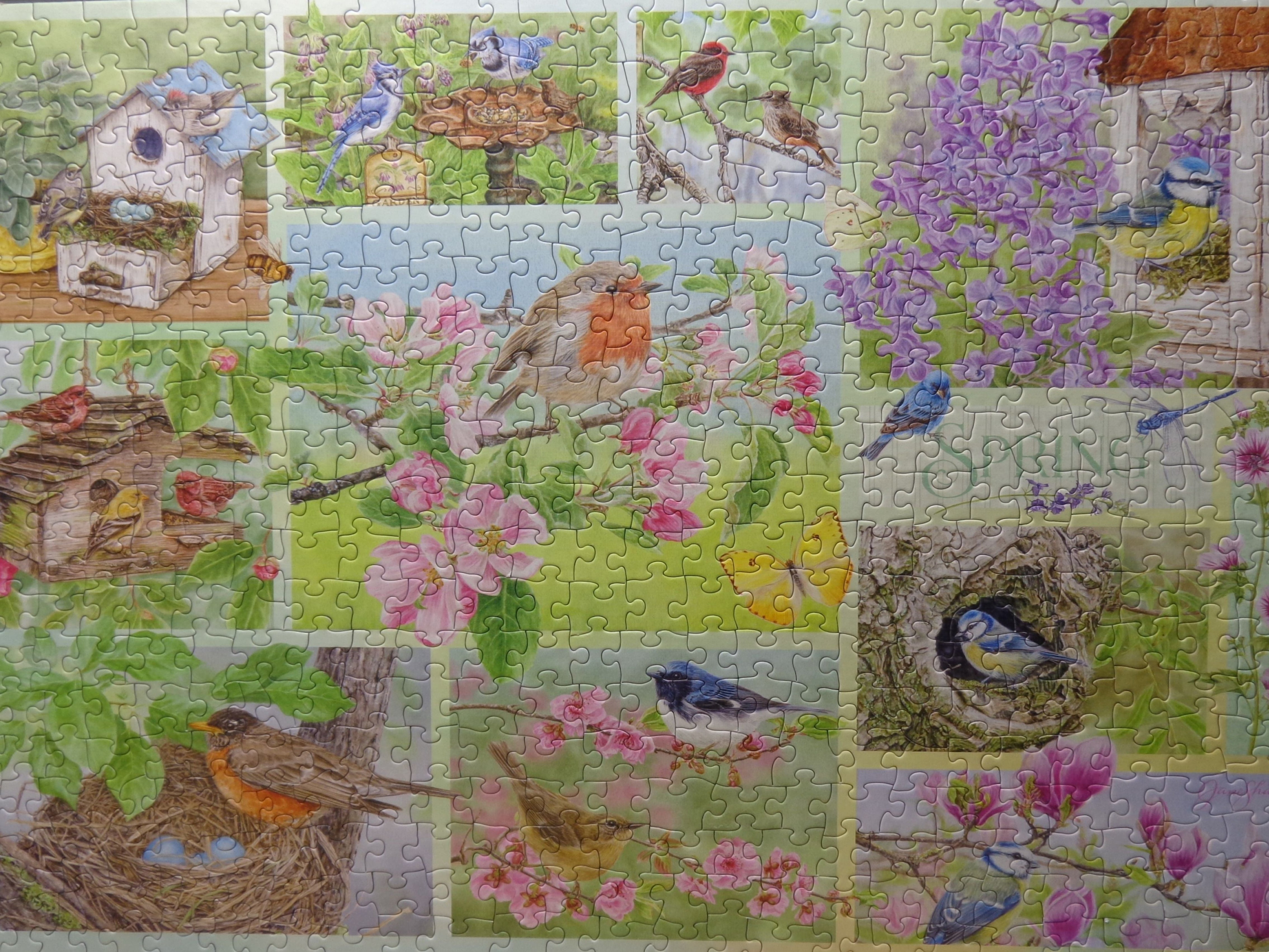 Springtime Wonders Celebrated with Garden Birds in Spring — USA Cobble ...
