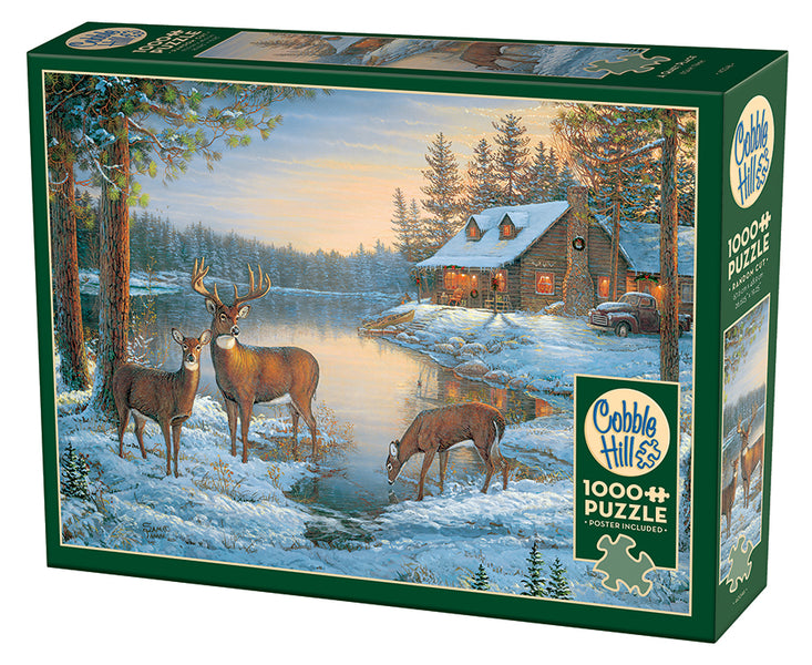 40246-A-Quiet-Place-