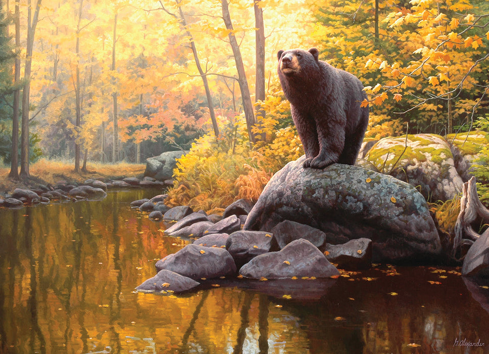 Black Bear Pond | 1000 Piece