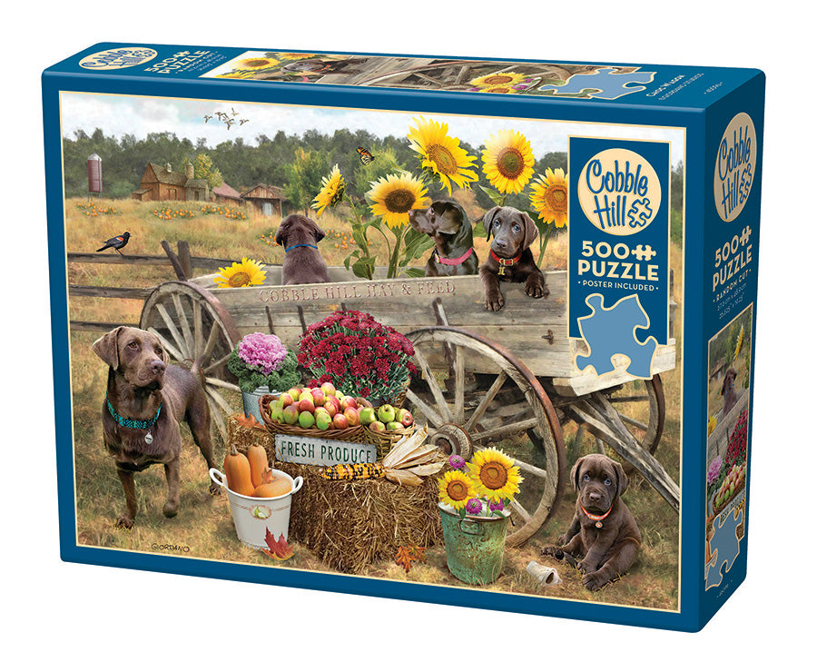 BABYL THE ONE限定／「The Chosen 500」 Amazon.com: The Chosen: Triumphal Entry Puzzle - 1000 Pieces