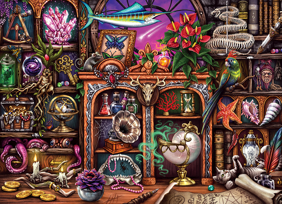 Cabinet of Curiosities | 500 Piece