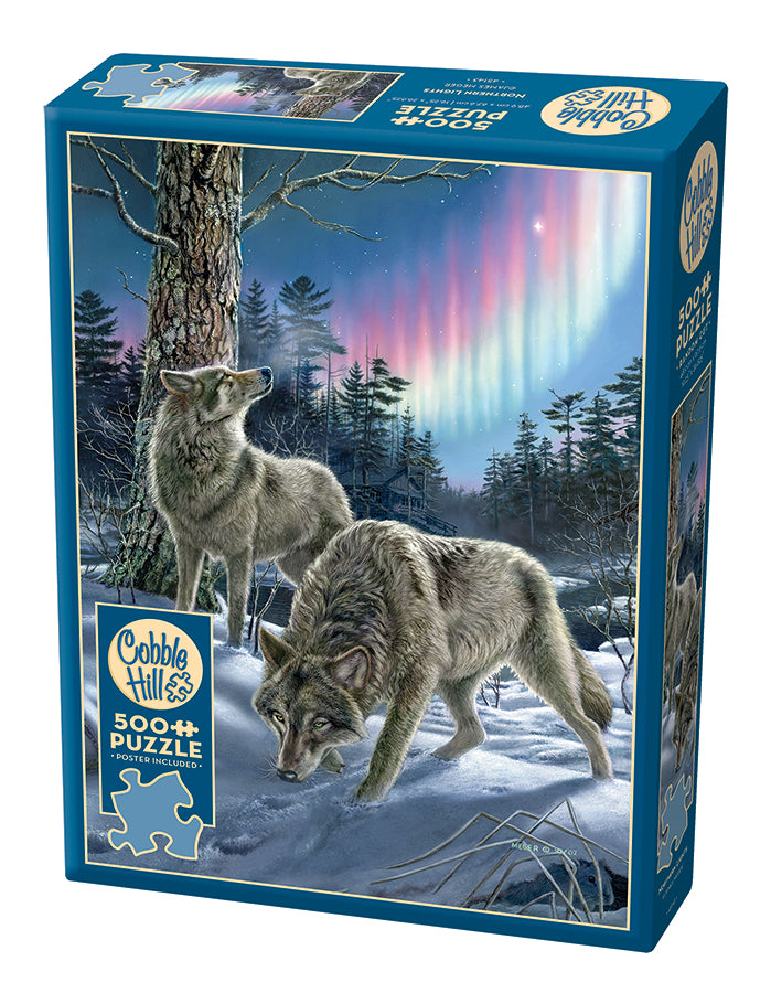 45143-northern-lights-