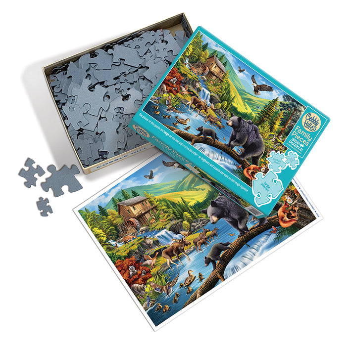 A Family Affair (Family) | Family Pieces 350