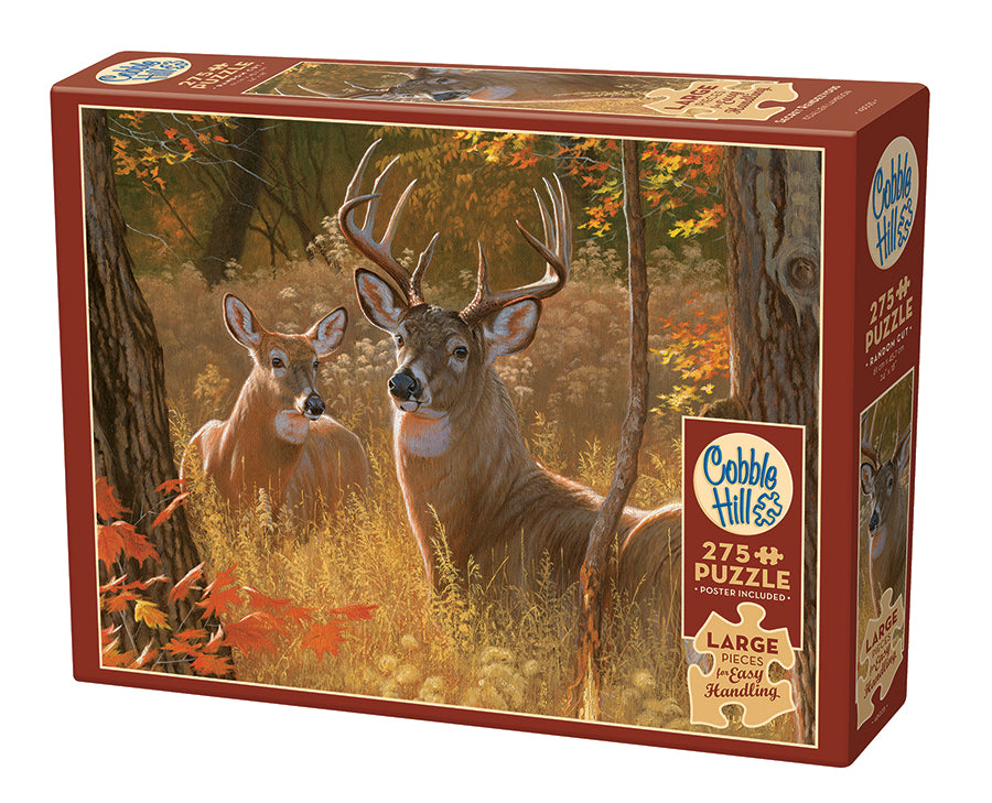 Secret Rendezvous | Easy Handling 275 Piece - Cobble Hill Puzzles