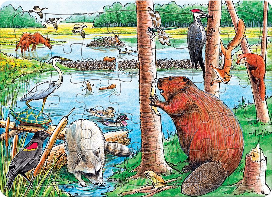 The Beaver Pond (tray) | 35 Piece Tray