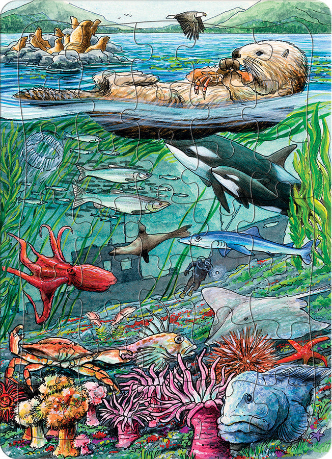 置物 pacific ocean 58803-life-on-the-pacific-