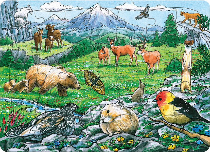 58806-rocky-mountain-wildlife-