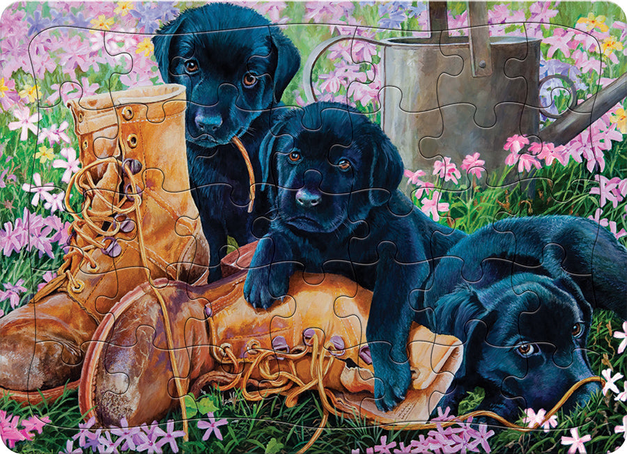 Black Lab Puppies (tray) | 35 Piece Tray