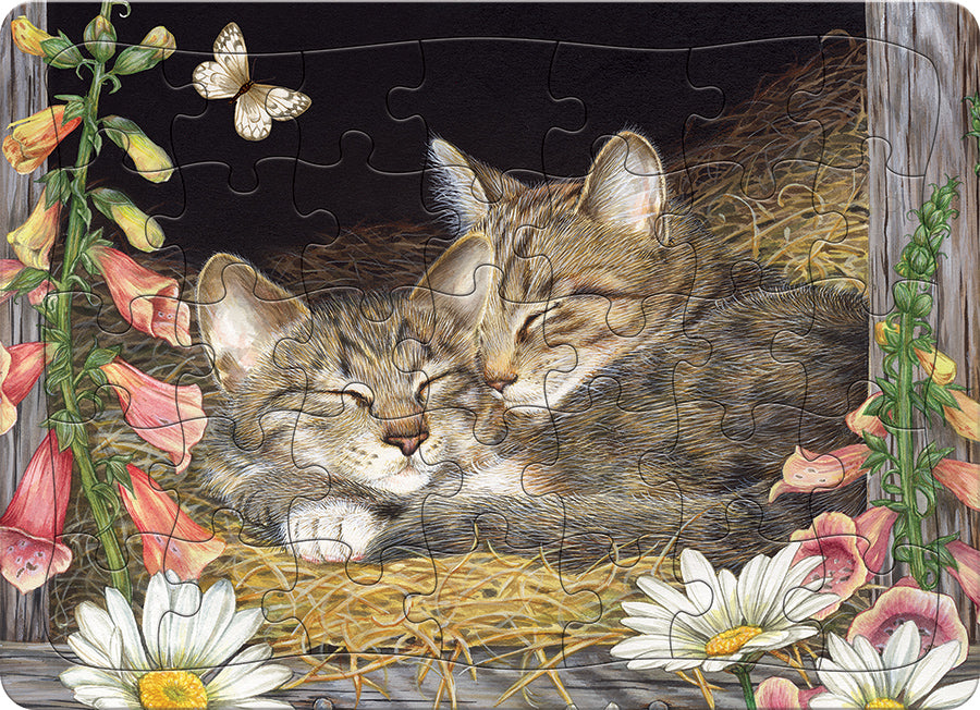 Morning Snooze (tray) | 35 Piece Tray