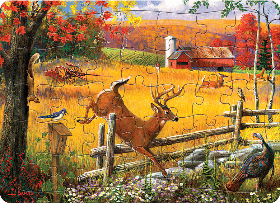 The Big Leap (tray) | 35 Piece Tray