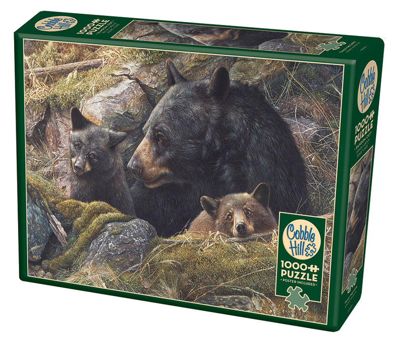 Twice the Love | Discontinued 1000 Piece (Old Big Box)