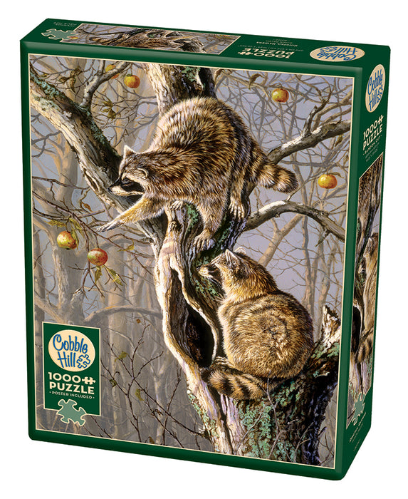 Ringtail Raiders | Discontinued 1000 Piece (Old Big Box)