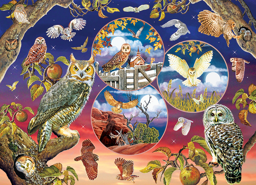 Owl Magic | Discontinued 1000 Piece (Old Big Box)