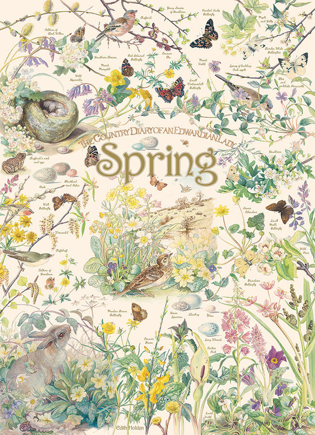 Country Diary: Spring | 1000 Piece - Cobble Hill Puzzles — USA Cobble ...