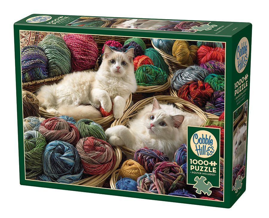 40141-ragdolls-pkg-
