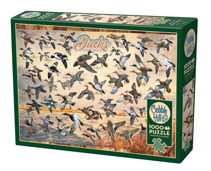 Ducks of North America | 1000 Piece - Cobble Hill Puzzles — USA