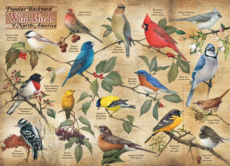 Aves silvestres de patio trasero populares de América del Norte | 1000 piezas