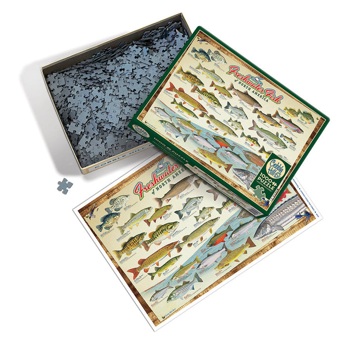 Freshwater Fish of North America | 1000 Piece