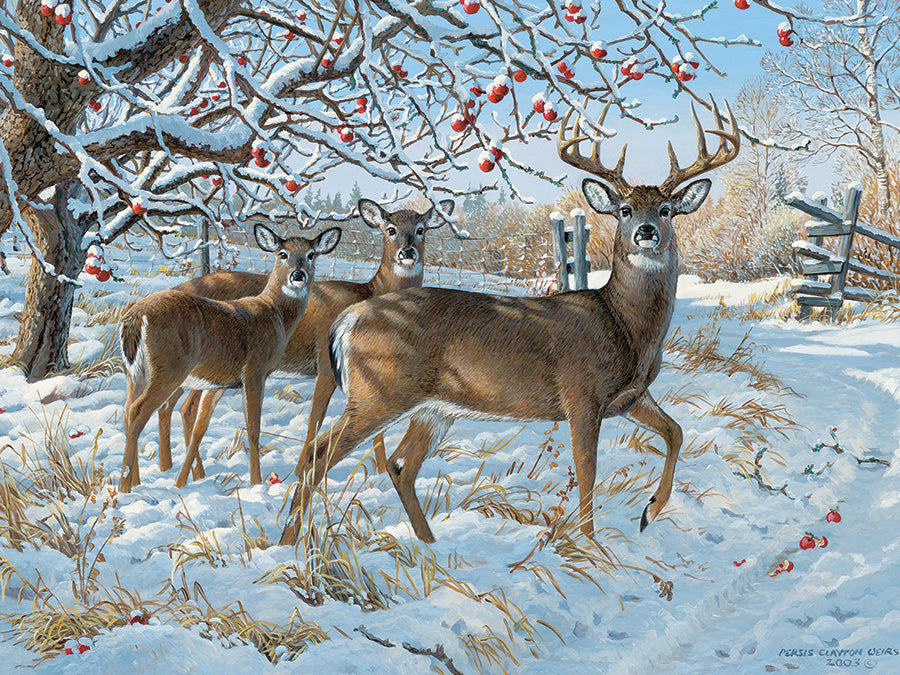Winter Deer | 500 Piece