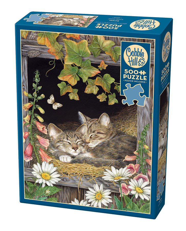 The cat library. Cobble Hill. 1000 pieces. : r/Jigsawpuzzles