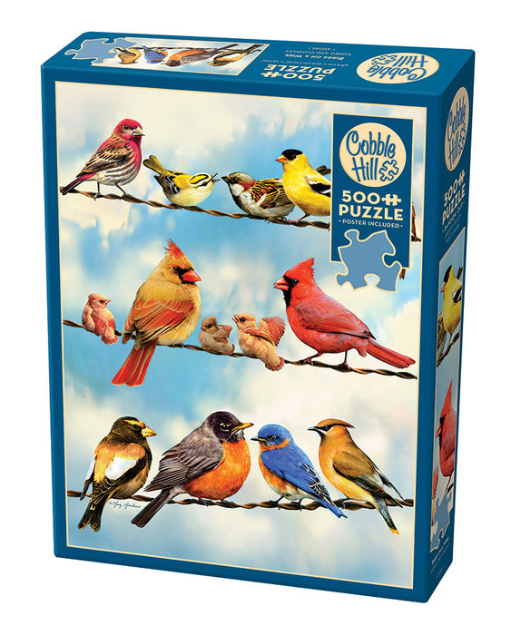 Pájaros en un alambre | 500 piezas