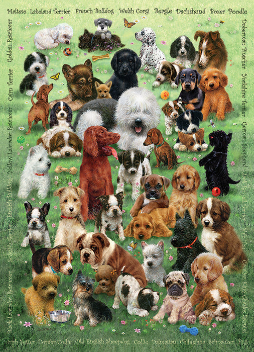 Amor de cachorros (Familia) | Piezas familiares 350