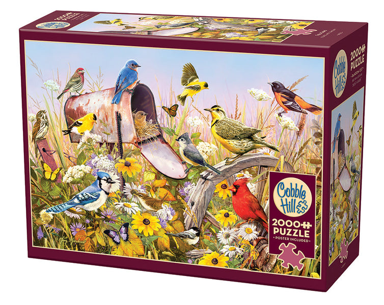 49013-field-song-pkg-