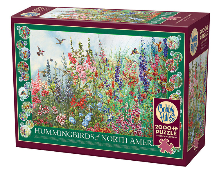 49015-hummingbirds-of-north-