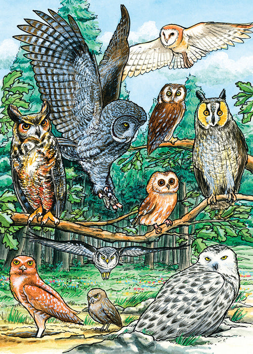 North American Owls (tray) | 35 Piece Tray