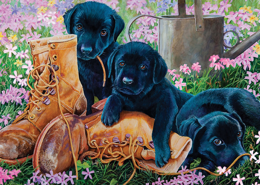 Cachorros de laboratorio negros (bandeja) | Bandeja de 35 piezas