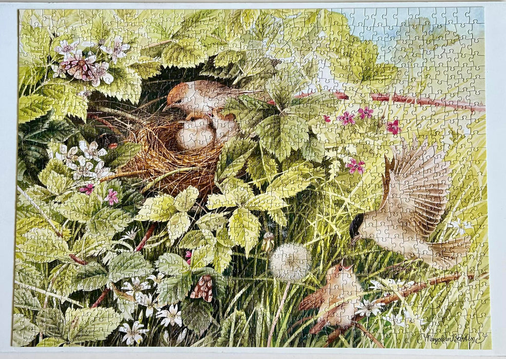 Cobble Hill 1000 Piece Puzzle – Nesting Eagles With Included Poster (Made In USA, Low Glare)